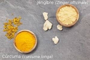 cúrcuma y jengibre
