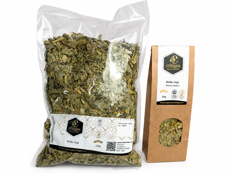 Boldo, hoja