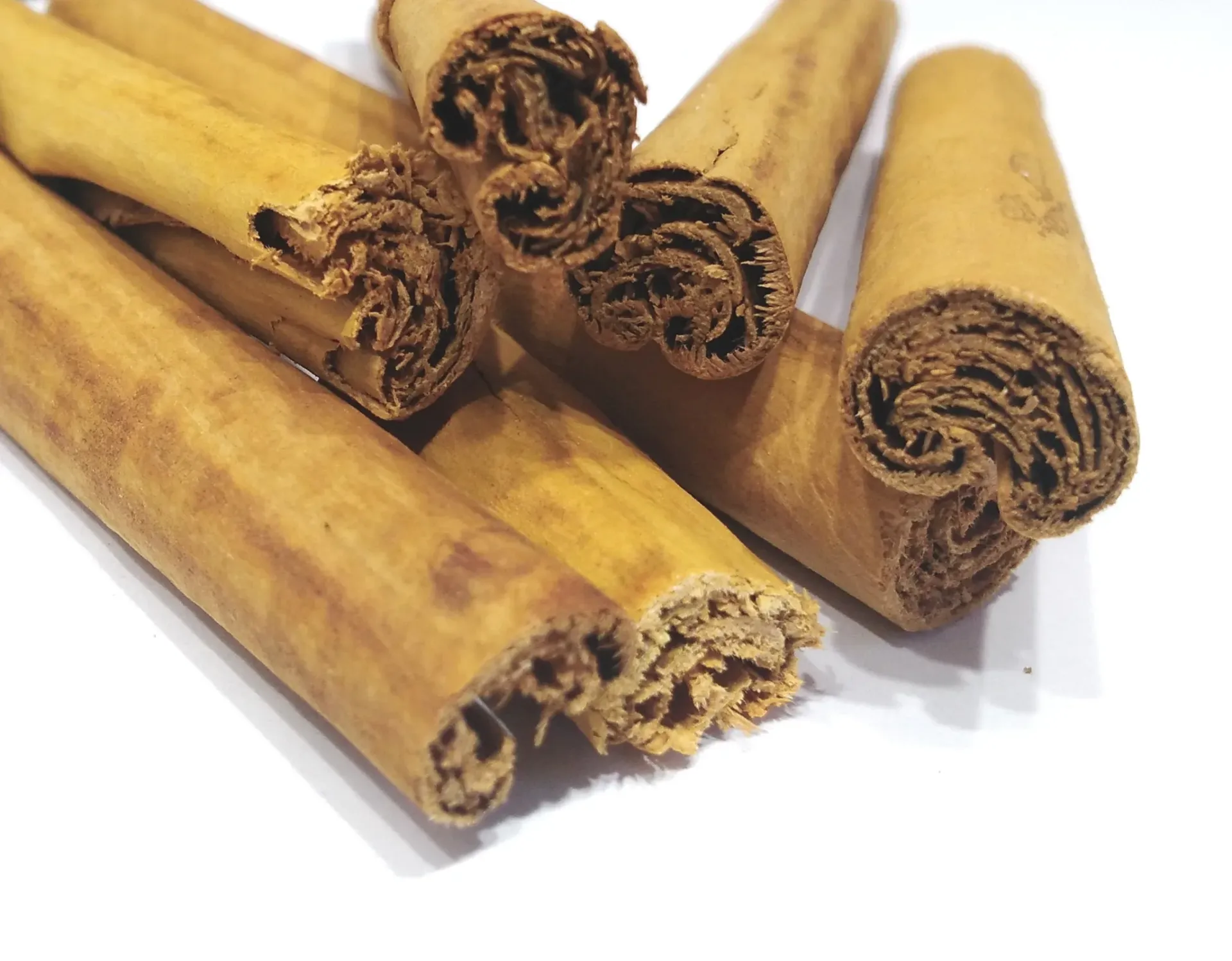 Canela de Ceilán, rama